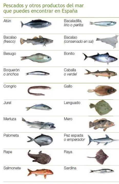 Pescados y mariscos Images - Frompo