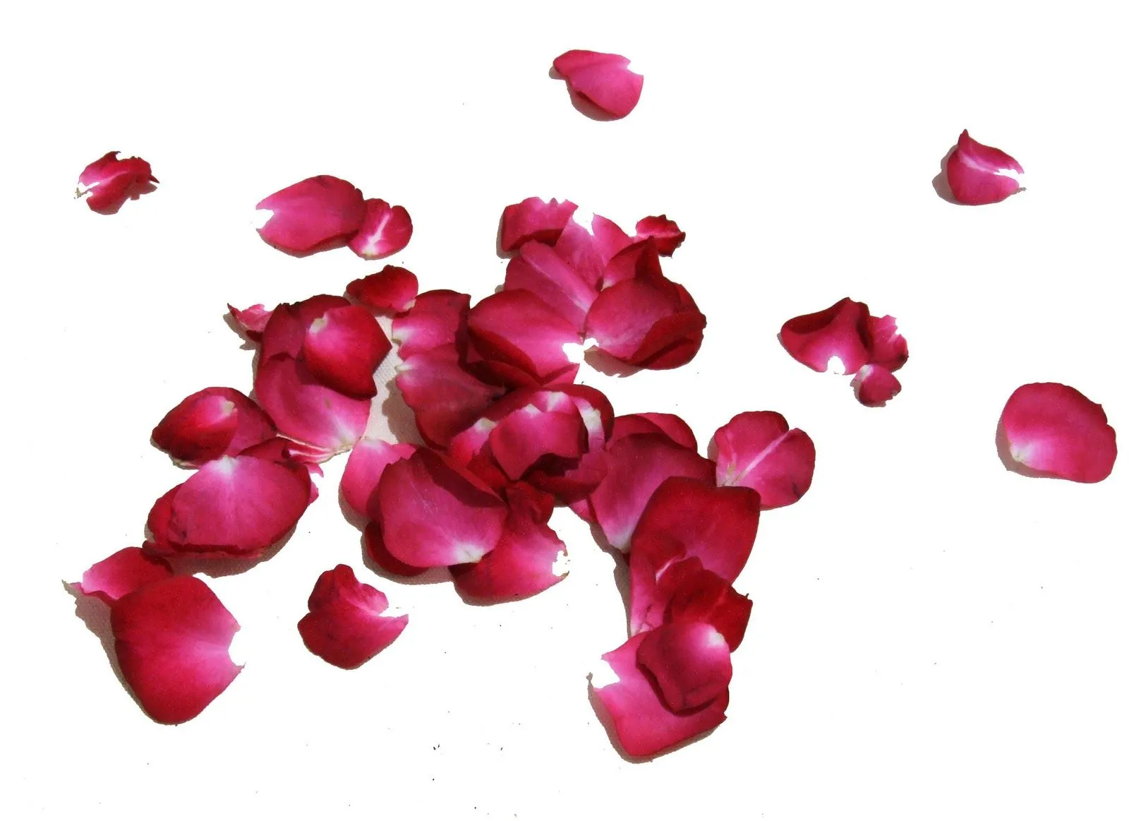 Petalos