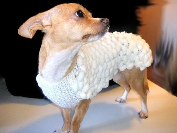 Pets Sweater White Sweater Chihuahua Pets clothing Pet por nerina52