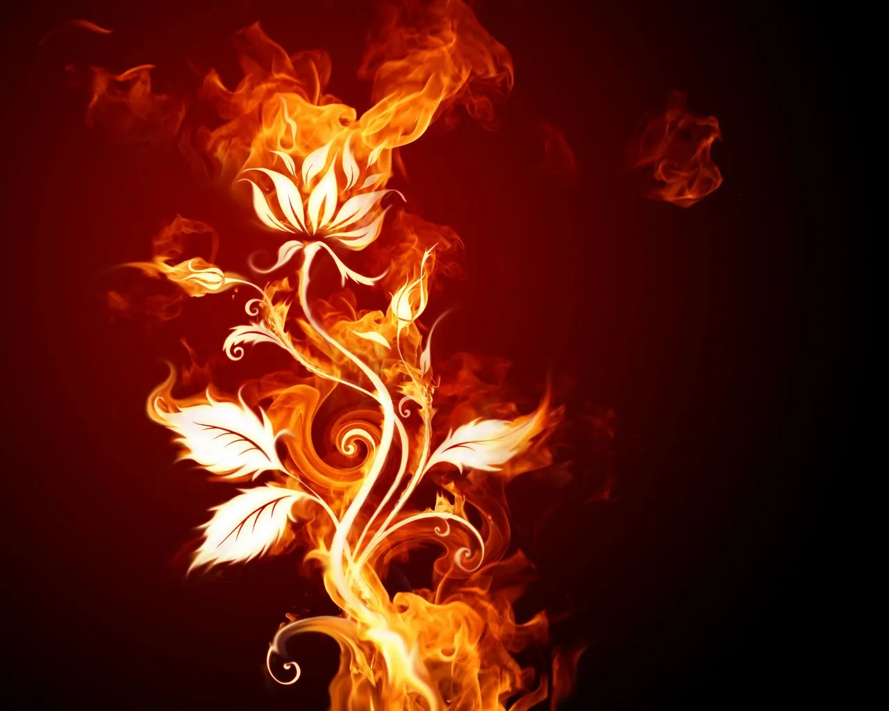 PHOTO FUSION VIRTUAL: Wallpapers fuego