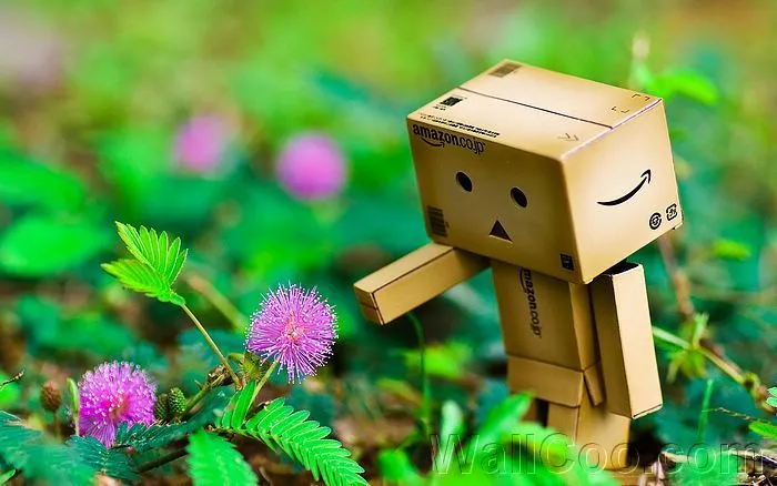 photo live♥: Danbo