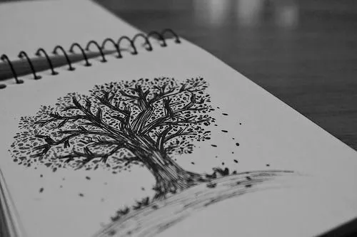 photography art tree Black and White draw vida negro hojas arbol ...