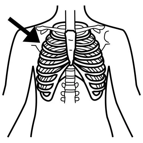 PICTOGRAMAS DEL CUERPO HUMANO PARA NIÑOS