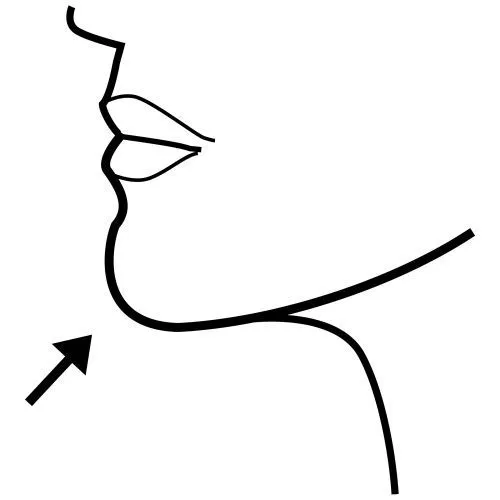 PICTOGRAMAS DEL CUERPO HUMANO PARA NIÑOS