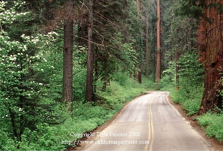 Picture National Park High Resolution Stock Photos Roads