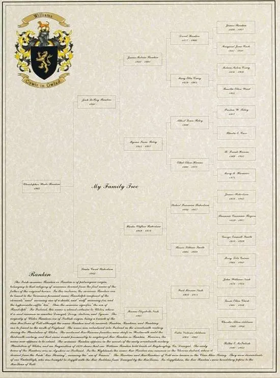 Picture of a Family Tree with Coat of Arms & Surname Origin