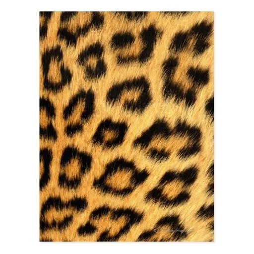 Piel de Jaguar Postales de Zazzle.