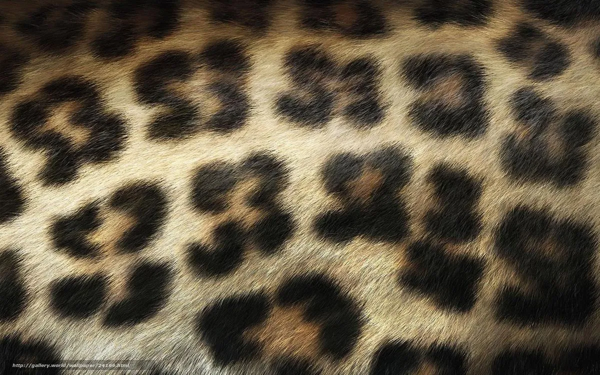 Wallpaper piel leopardo - Imagui