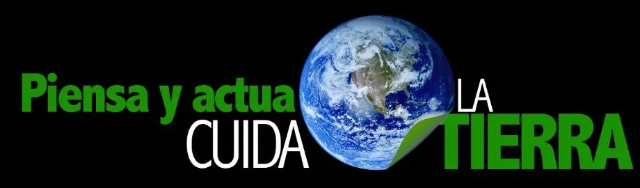 PIENSA Y ACTUA! CUIDA LA TIERRA | FONDOIN