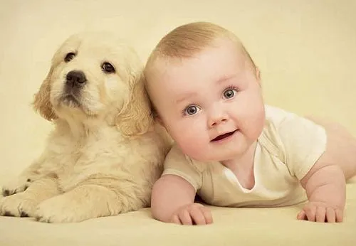 Yo Pienso, Yo Creo, Yo Siento": Bebés y animales ilustran el libro ...