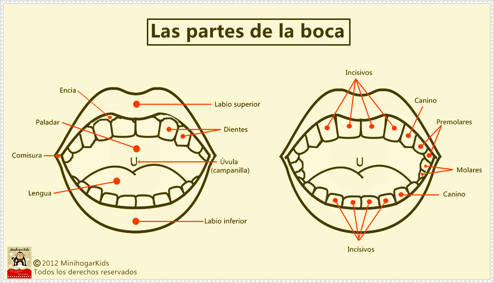 Pin Boca Para Pintar Imágenes Mil on Pinterest