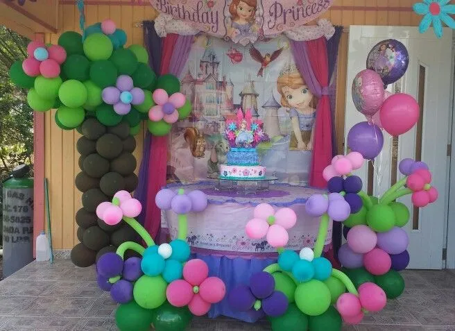 Pin by Jenny TheVoice on Sofia The first Birthday Theme | Pinterest