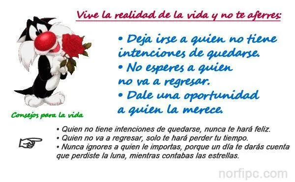 Postales on Pinterest | Amor, Frases and Facebook