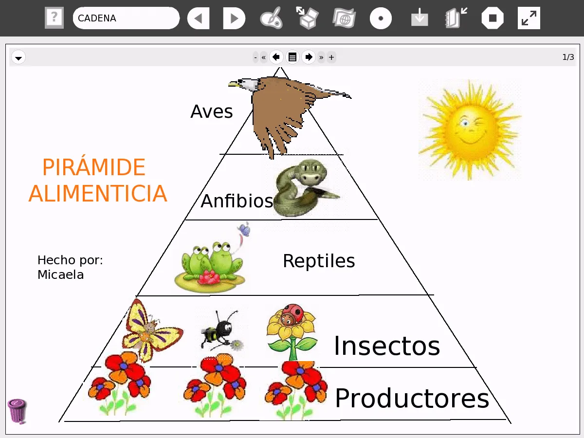 Pin Cadena Alimenticia on Pinterest