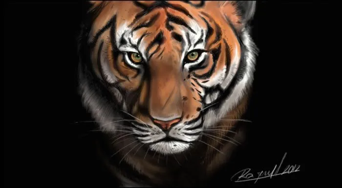 Pin Cara De Tigre Dibujo Imagui on Pinterest