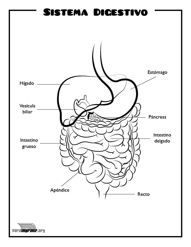 Pin en Ciencias naturales