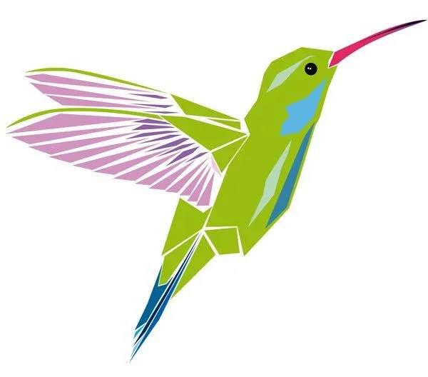 COLIBRI DIBUJO - Imagui