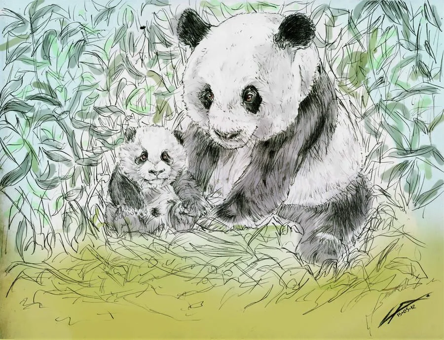 Dibujos a lapiz de oso panda - Imagui