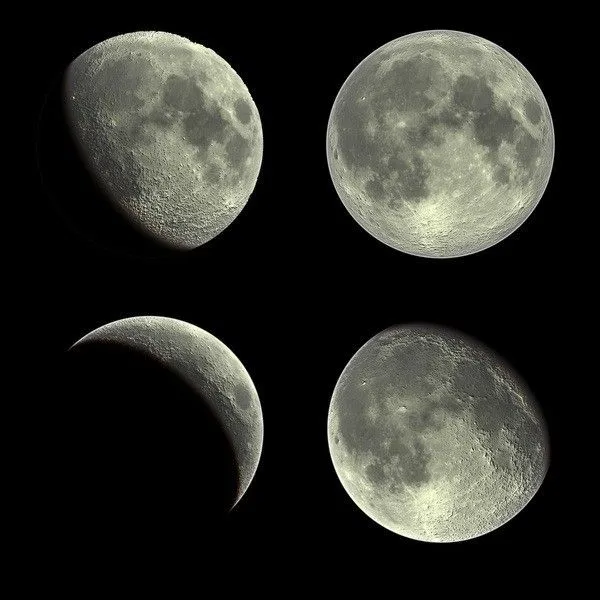 4 fases de la luna con sus nombres - Imagui