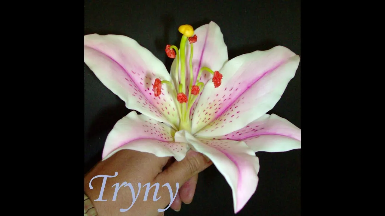 Pin Flores En Porcelana Fria Margaritas Girasoles on Pinterest