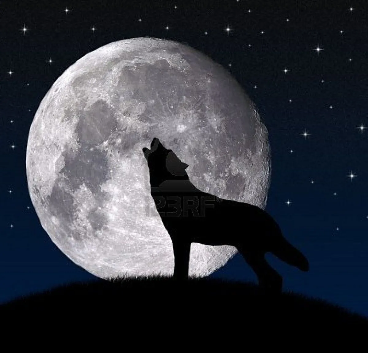 Pin Hombre Lobo Aullando Luna Wallpaper Pic on Pinterest