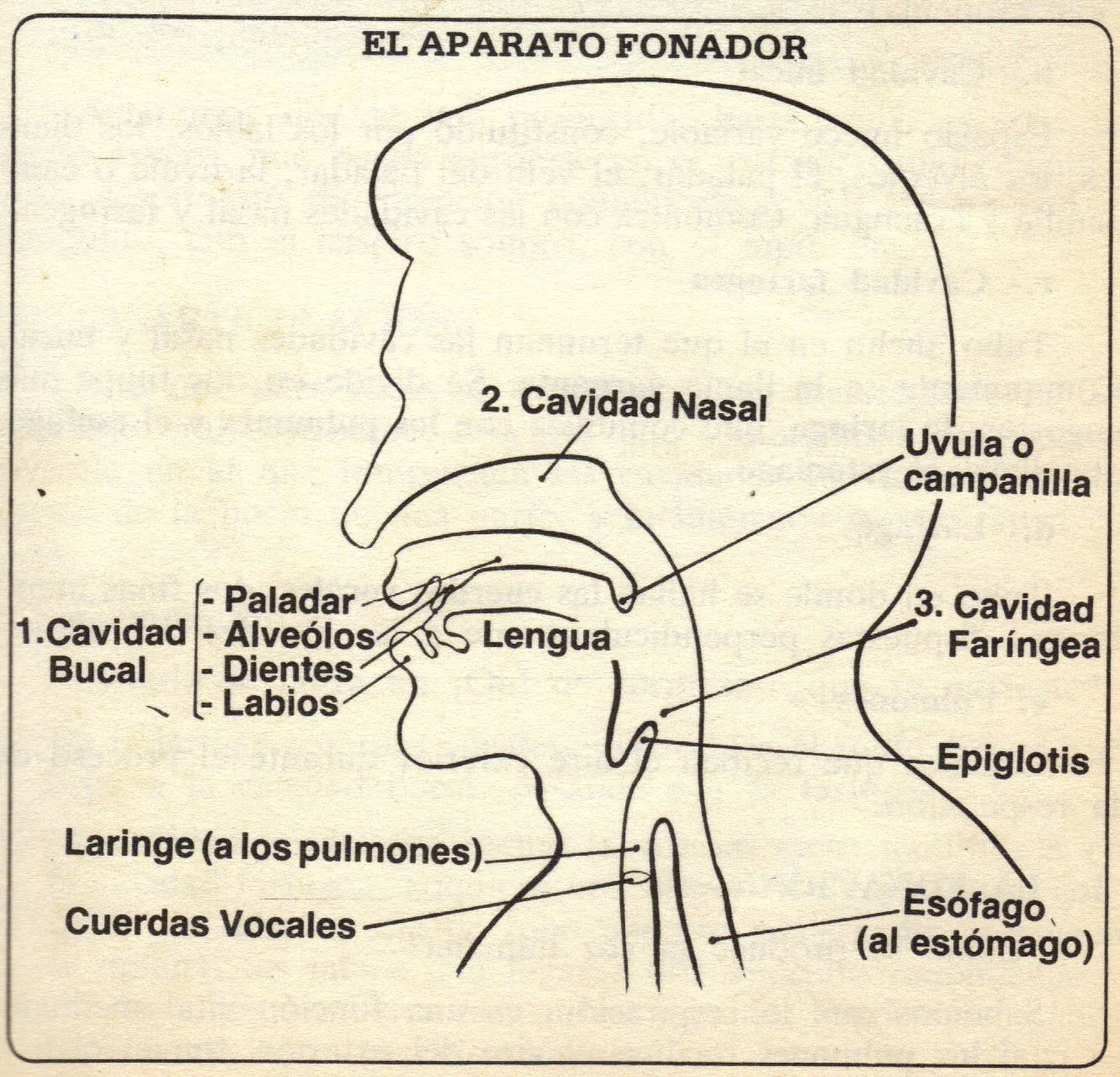 Pin Interpretación De Dibujo Falta Motivación Por Ser Un Solo ...