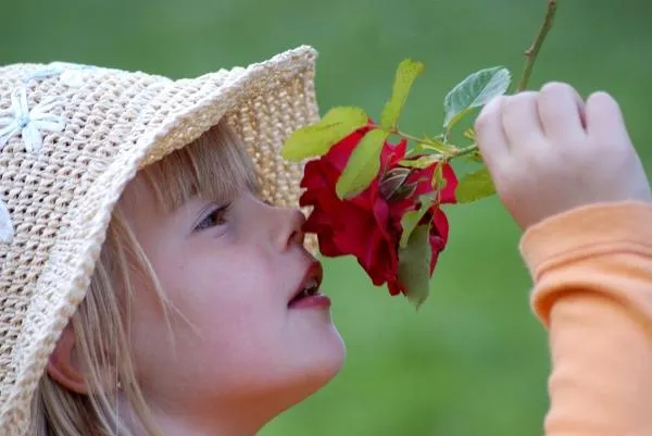 Pin Niña Y Flor Del Espíritu Santo Prohibida La ReproducciÓn ...