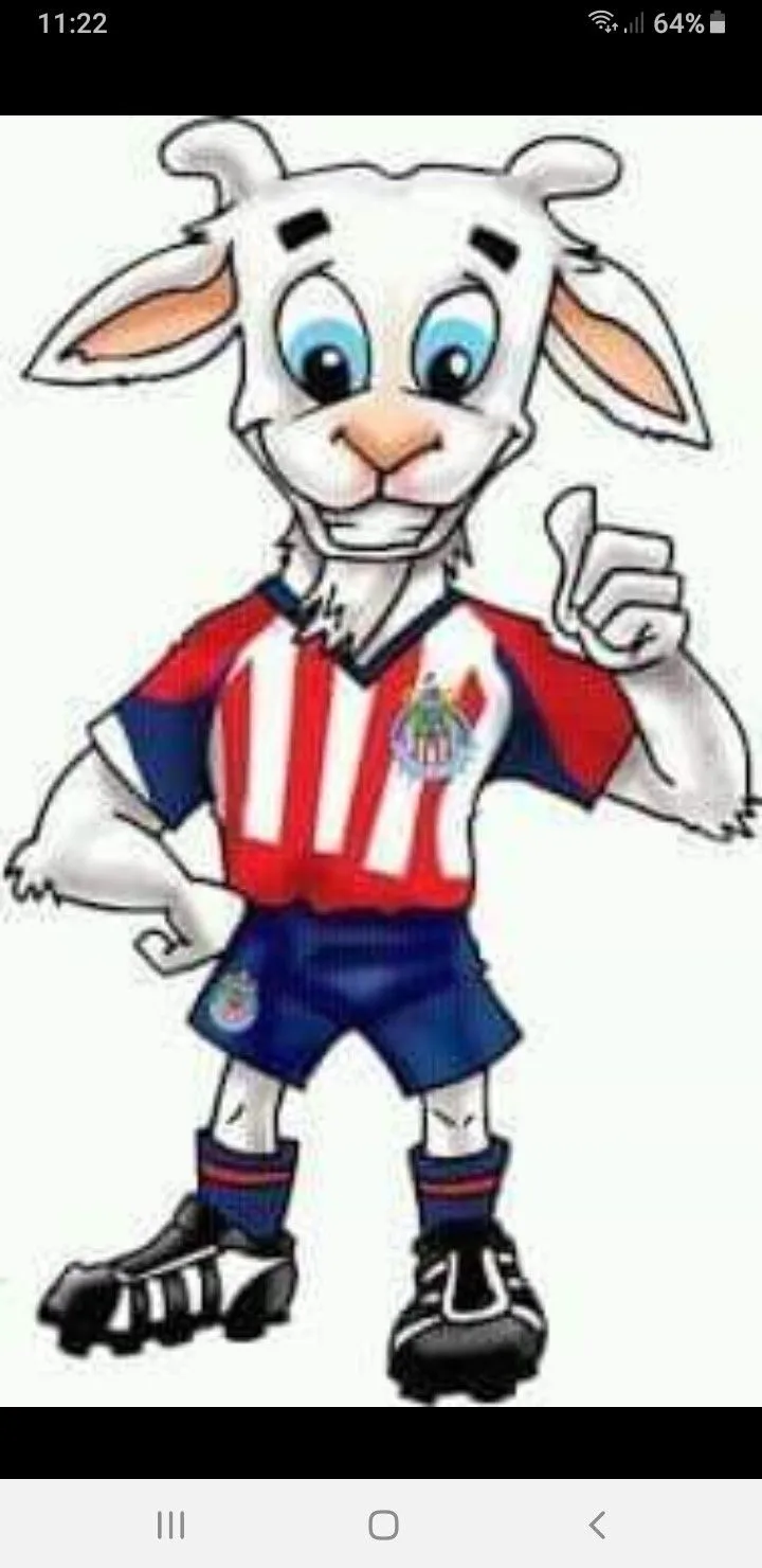 Pin de peter en chivas y ya | Imagenes chivas, Chivas rayadas, Chivas