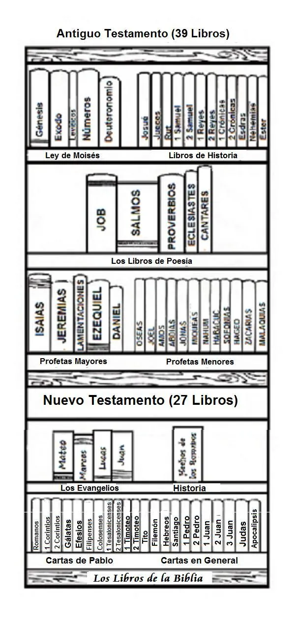 Pin en proyectos que intentar