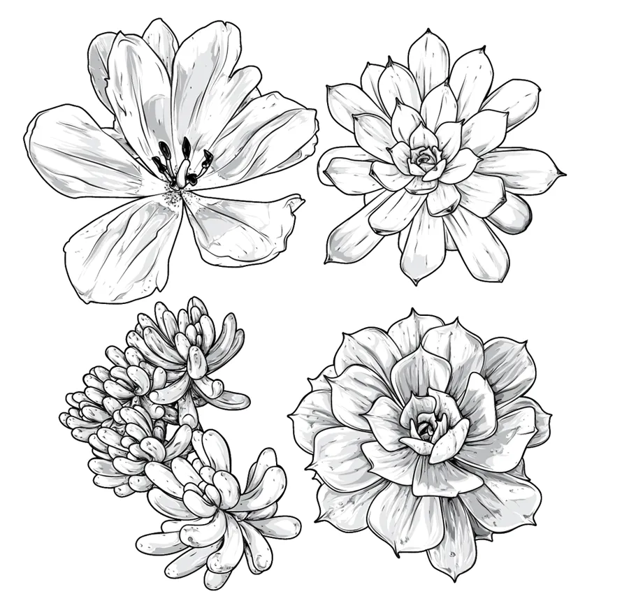 Pin Resultados Busqueda Para Dibujos Graffiti Facil Colorear on ...