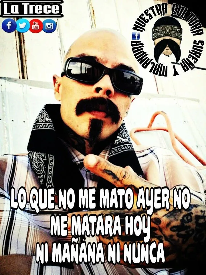 Pin de Roblero Bri en payaso 915 | Frases de cholos, Frases de desmadre,  Frases malandras