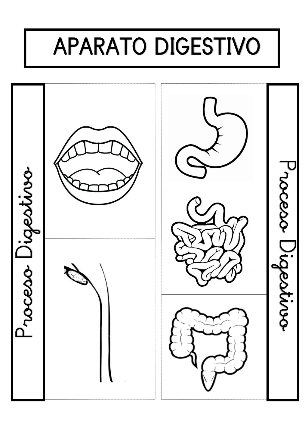 Pin en Taller ciencias