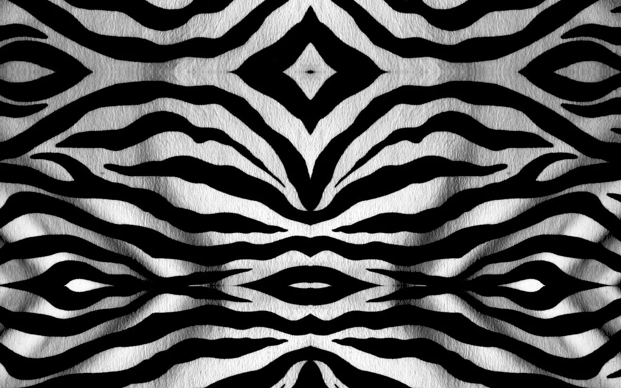 Pin Wallpapers Of Zebra on Pinterest