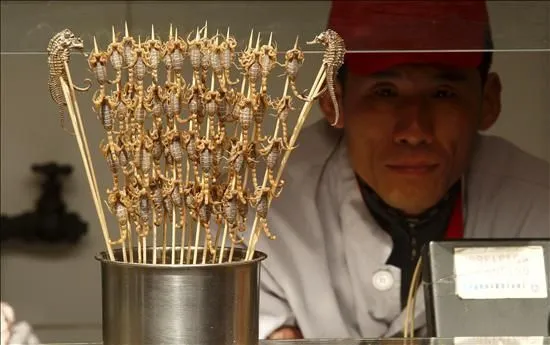 Pinchos de escorpiones | Qué.