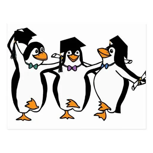 Pingüinos de graduación del dibujo animado lindo postal | Zazzle