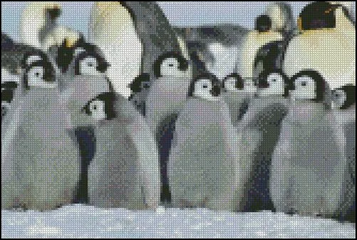 Pingüinos - Hilos para Bordar (DMC, Rosace, Anchor, Panda, ...) y ...