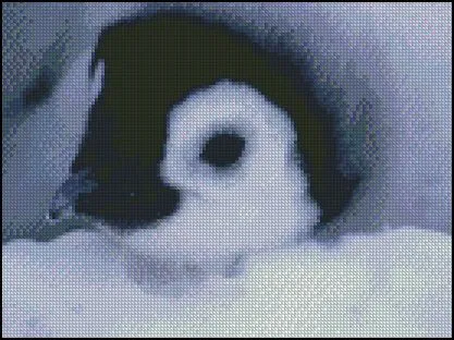 Pingüinos (2) - Hilos para Bordar (DMC, Rosace, Anchor, Panda ...