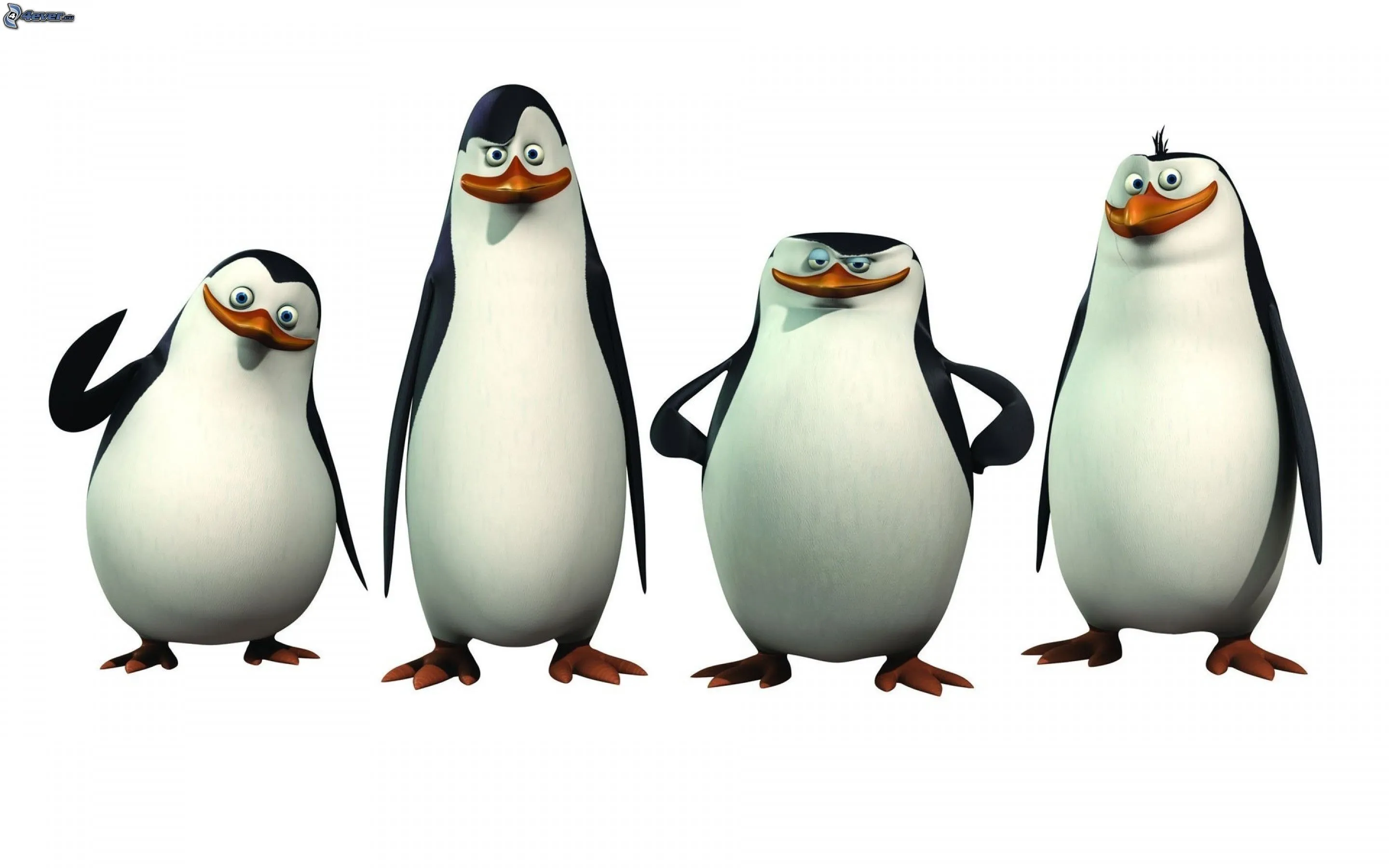 Pingüinos de Madagascar