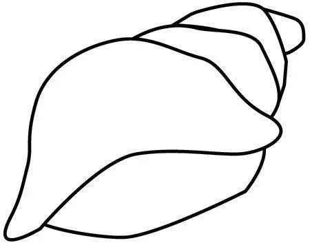 PINTAR DIBUJOS DE MOLUSCOS