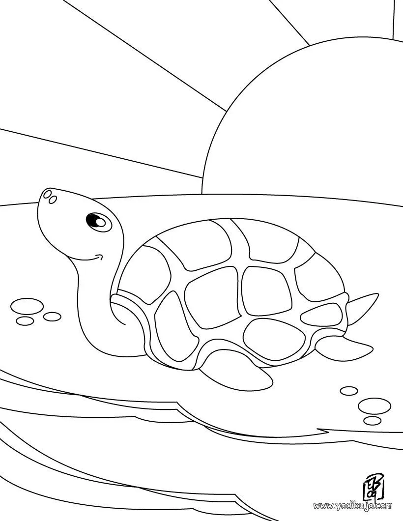 Dibujos para colorear una tortuga de mar - es.hellokids.com