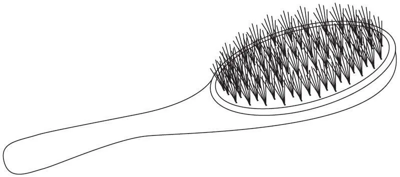 Pinto Dibujos: Cepillo de cerdas para colorear