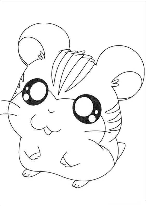 Hamster para colorear e imprimir - Imagui