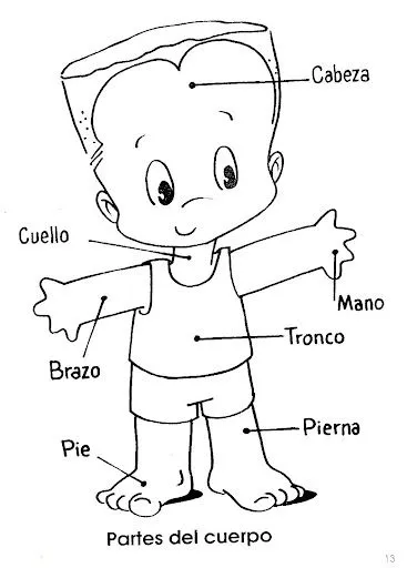 Pinto Dibujos: Partes del cuerpo para colorear