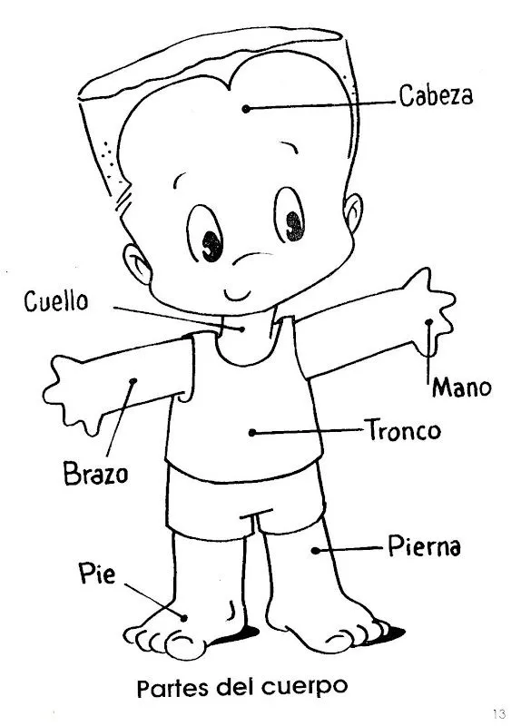 為孩子們的著色頁: Partes del cuerpo para preescolar para colorear