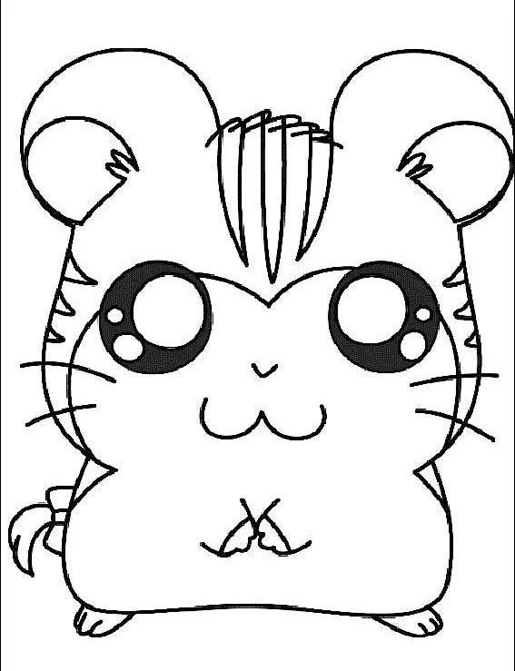 Pinto Dibujos: Tigrilla de Hamtaro para colorear