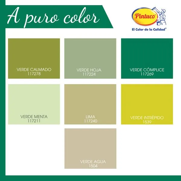 Pintuco® Ecuador on Twitter: "Pinta color verde una pared de tu ...