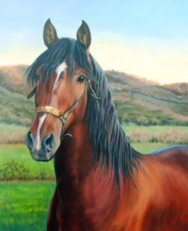 Pintura de caballos al oleo - Imagui