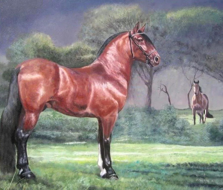 Pintura y Fotografía Artística : Caballos Pintados al Óleo Imagenes