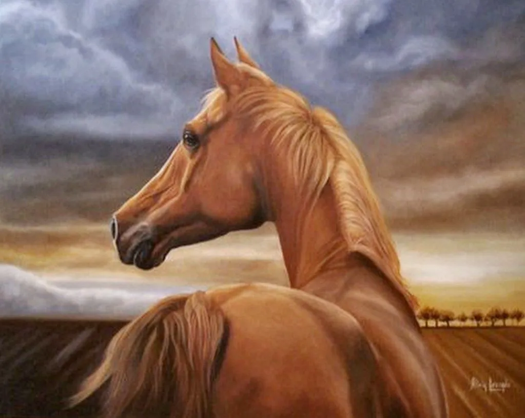 Pintura y Fotografía Artística : Cuadros de Caballos Salvajes ...