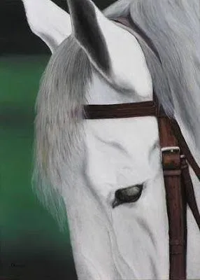 Pintura y Fotografía Artística : CUADROS DE CABALLOS PINTADOS AL OLEO